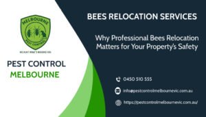 Bees Relocation Services | Pest Control Melbourne