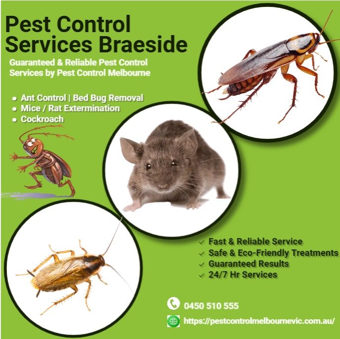 Pest Control Melbourne